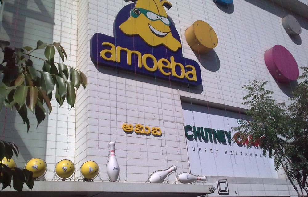 Amoeba